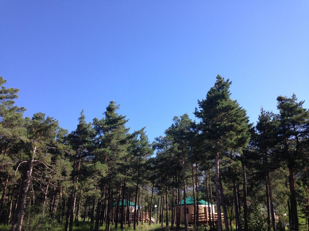 Parc Residentiel De Loisir : Le Loup Blanc Du Riou Barcelonnette Exterior foto